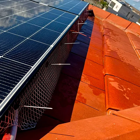 Solar panel bird proofing